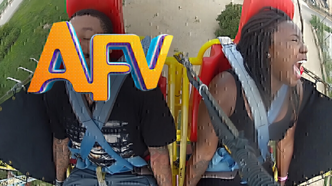 The Best of AFV: America's Funniest Home Videos