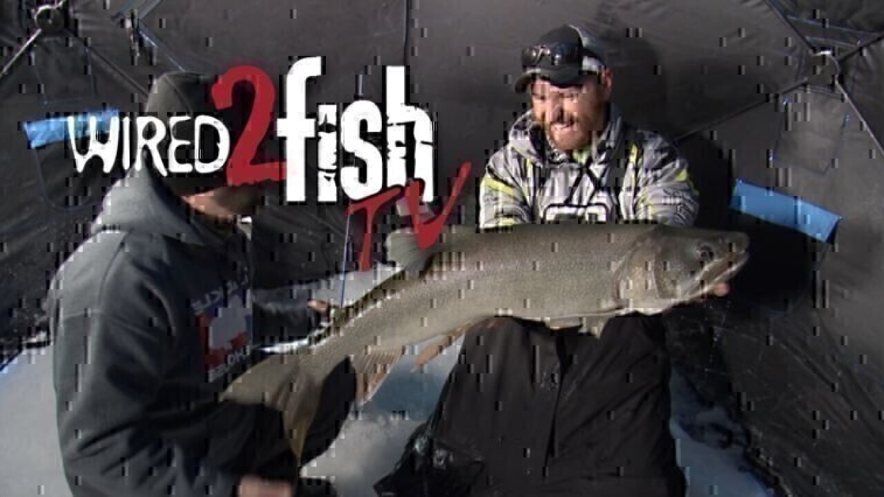 Wired2Fish TV