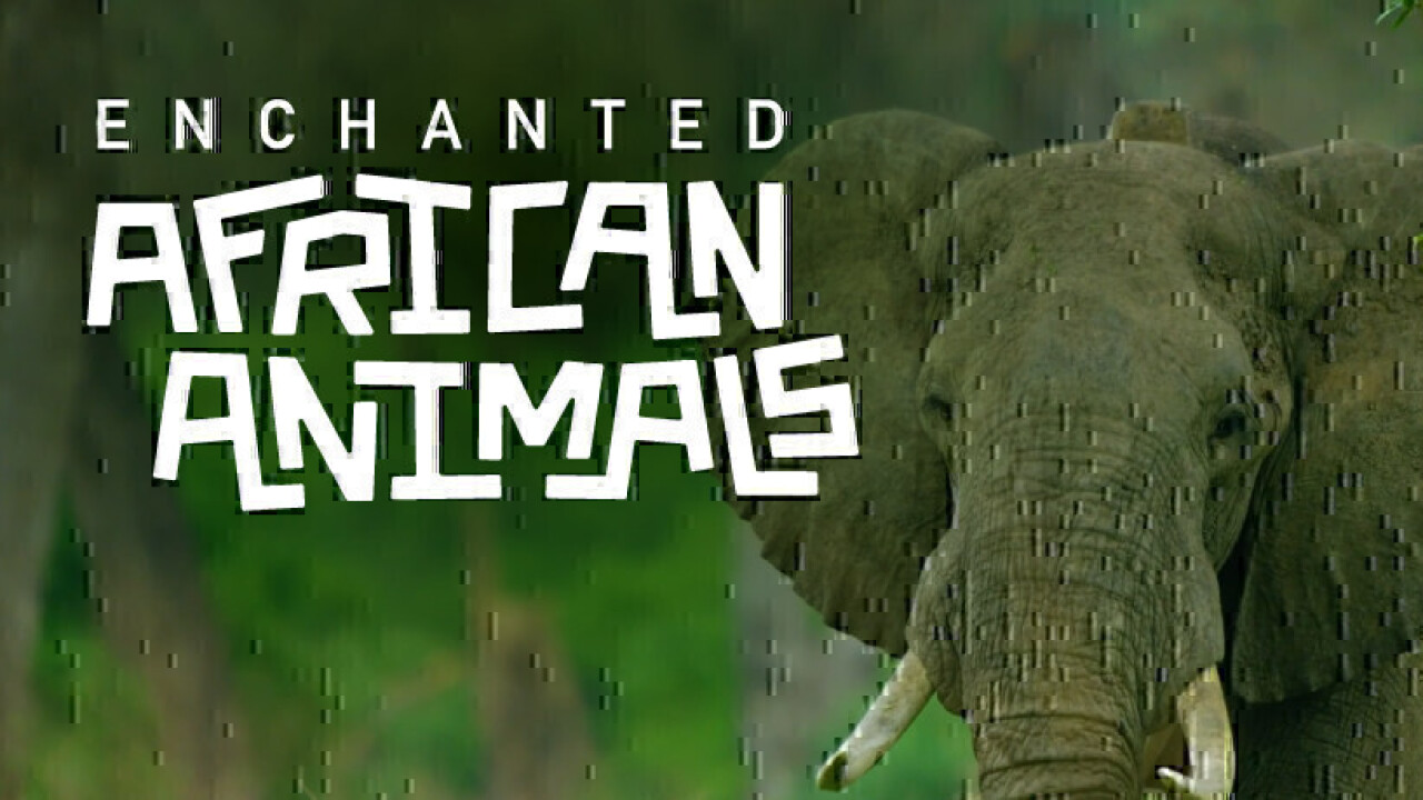 Enchanted African Animals