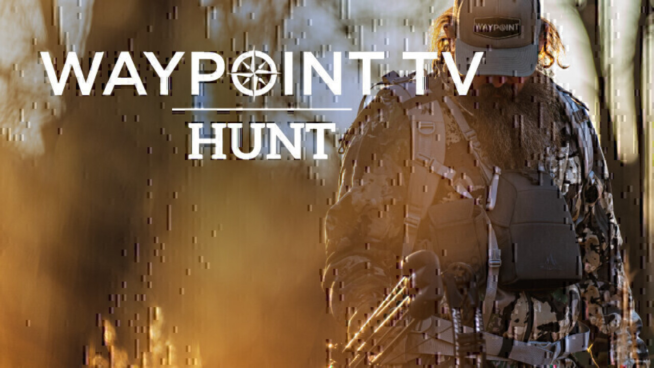 Waypoint TV hunt