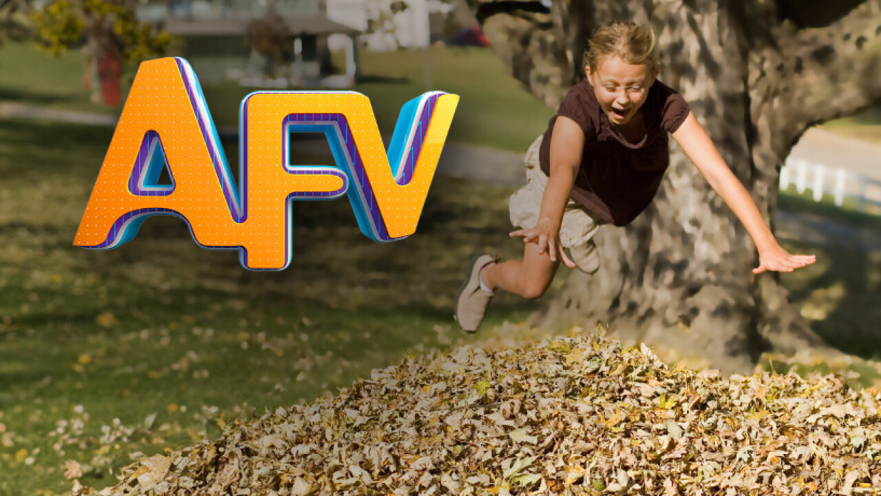 The Best of AFV: America's Funniest Home Videos