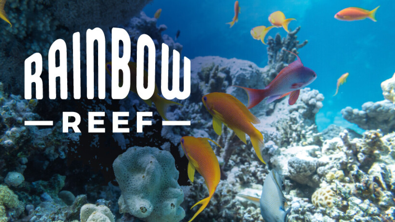 Rainbow Reef