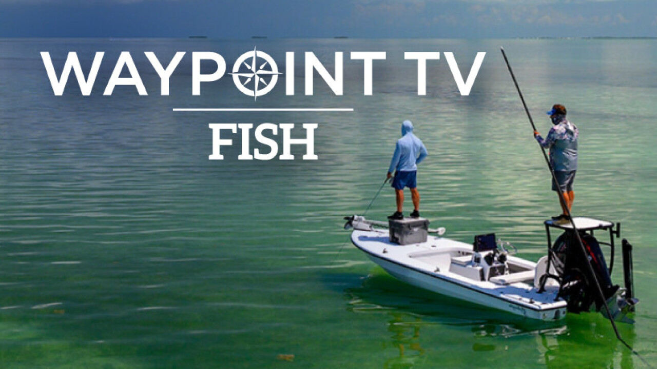 Waypoint TV Fish