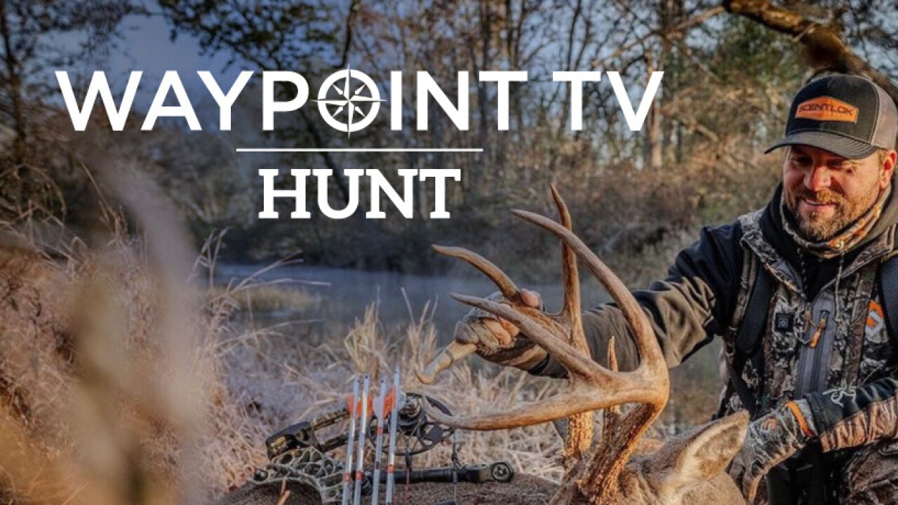 Waypoint TV hunt