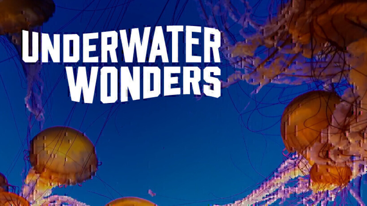 Underwater Wonders